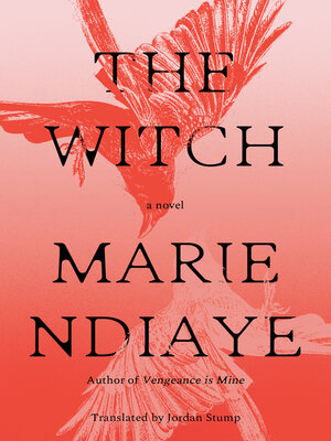 cover image of The Witch
